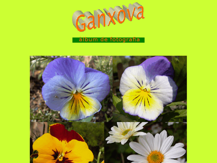 www.ganxova.net