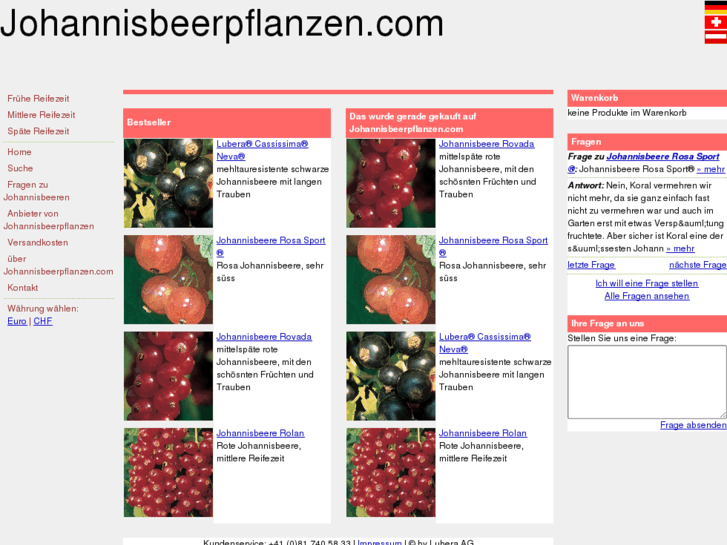 www.johannisbeerpflanzen.com