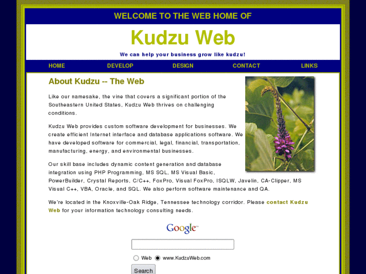 www.kudzuweb.com