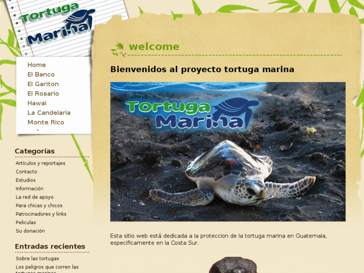 www.tortugamarina.info