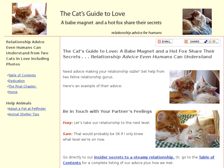 www.catguidetolove.com