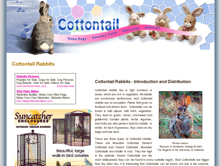 www.cottontail-rabbits.com