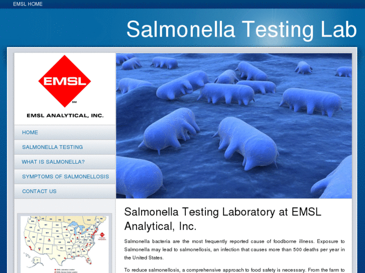 www.salmonellabacteria.com