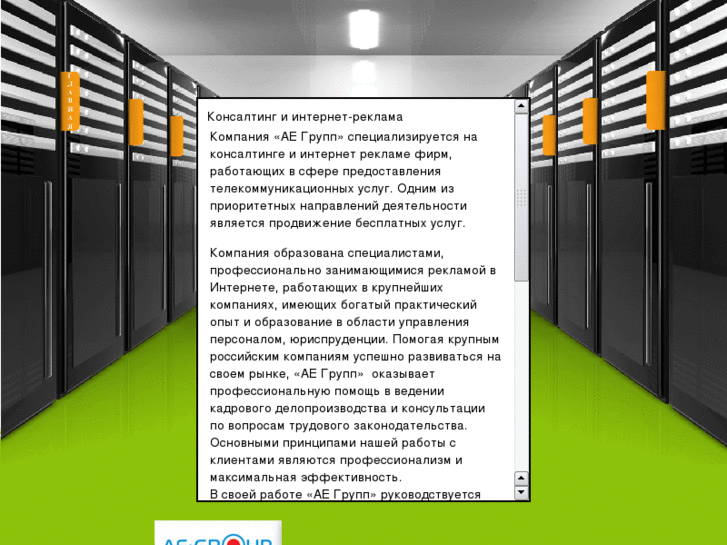 www.a-e-group.ru