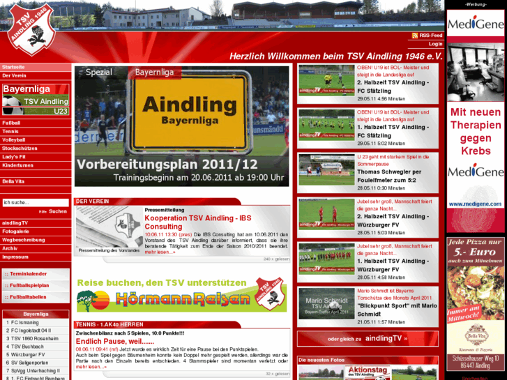 www.aindling.net