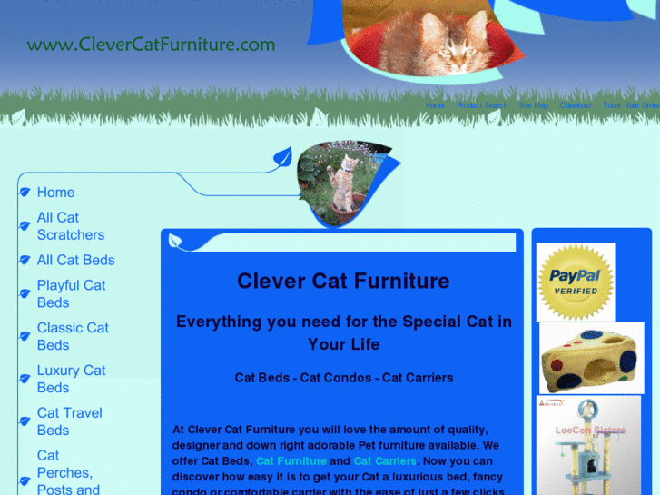 www.clevercatfurniture.com