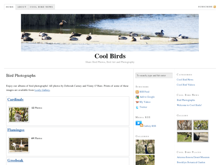 www.cool-birds.com