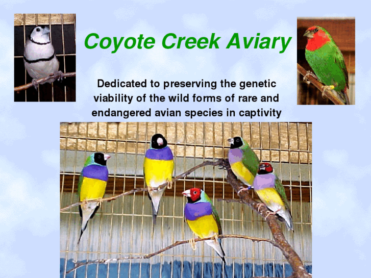 www.coyotecreek.net