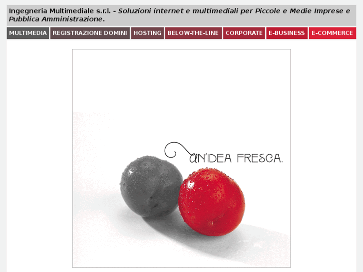 www.ingegneria.com