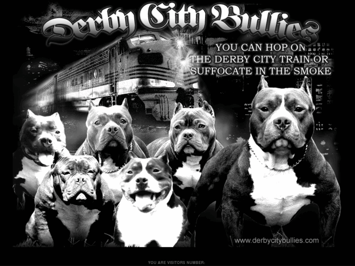 www.derbycitybullies.com