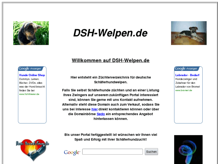 www.dsh-welpen.de