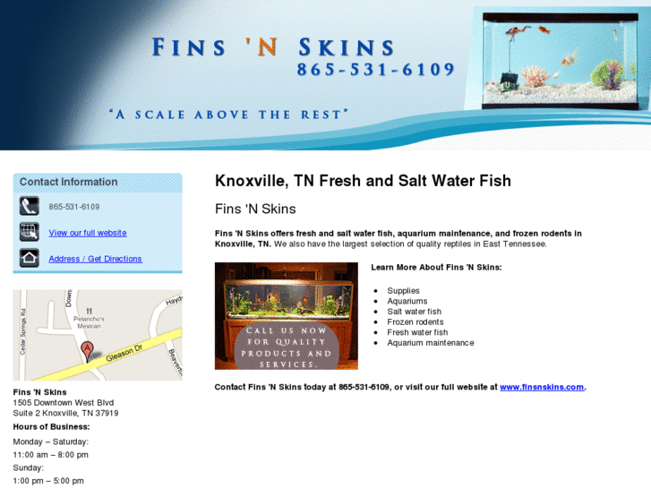 www.finsnskinsknoxville.com