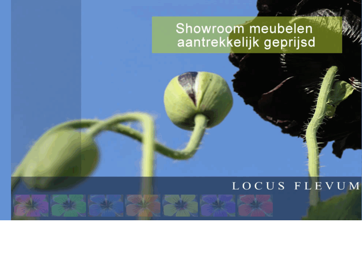 www.locusflevum.nl