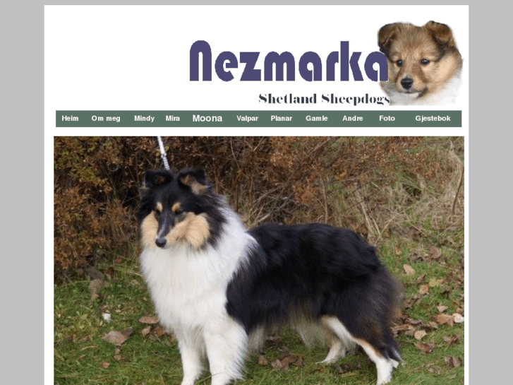 www.nezmarka.com