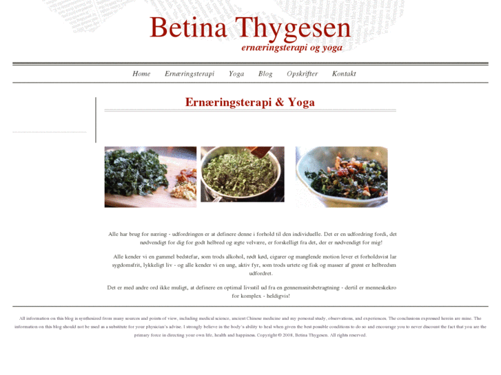 www.betinathygesen.com