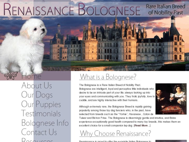 www.bologneseusa.com