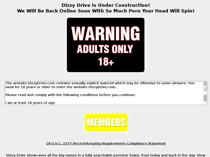 www.dizzydrive.net