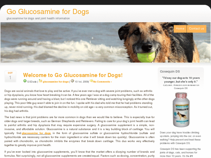 www.goglucosaminefordogs.com