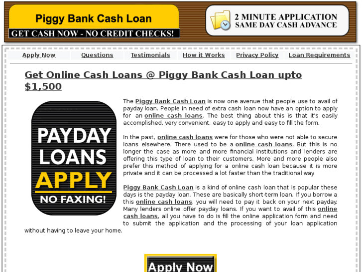 www.piggybankcashloan.net