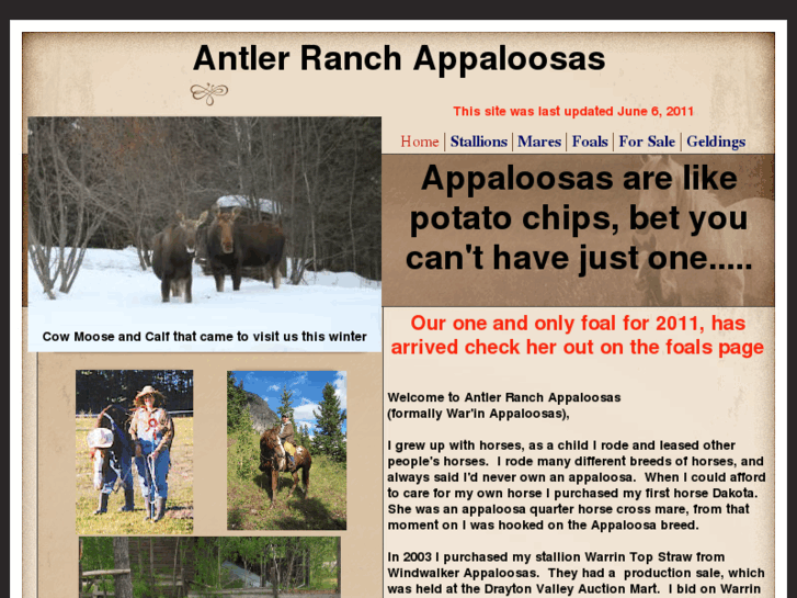 www.antlerranchappaloosas.com