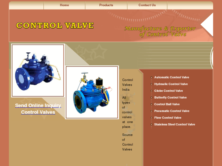 www.controlvalve.co.in