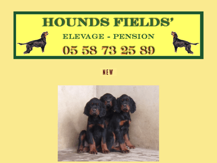www.houndsfields.com