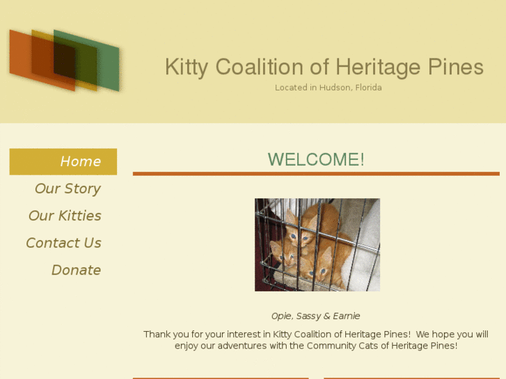 www.kittycoalition.com