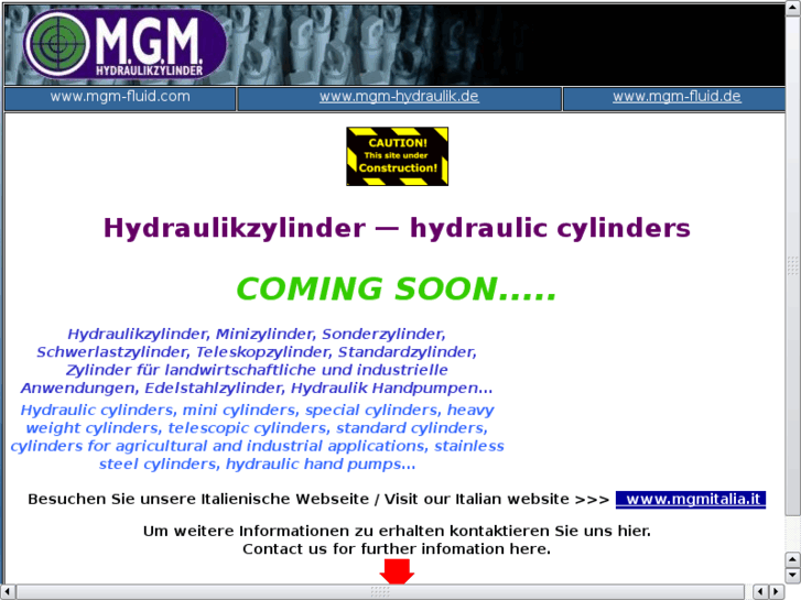 www.mgm-fluid.com