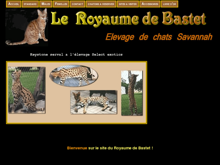 www.royaumedebastet.com