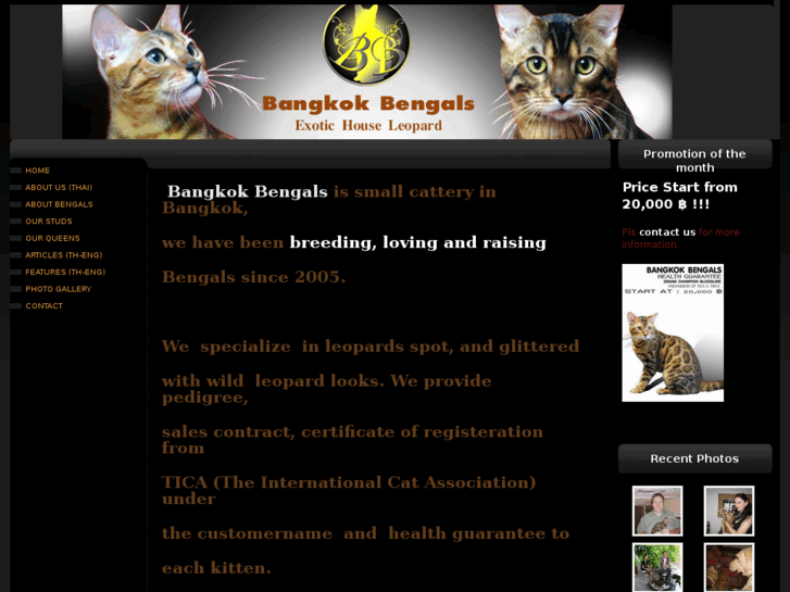 www.bangkokbengals.net