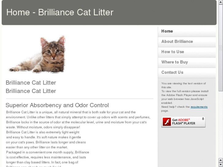 www.brilliancecatlitter.com