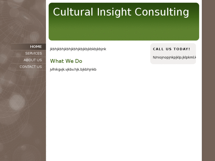 www.culturalinsightconsulting.com