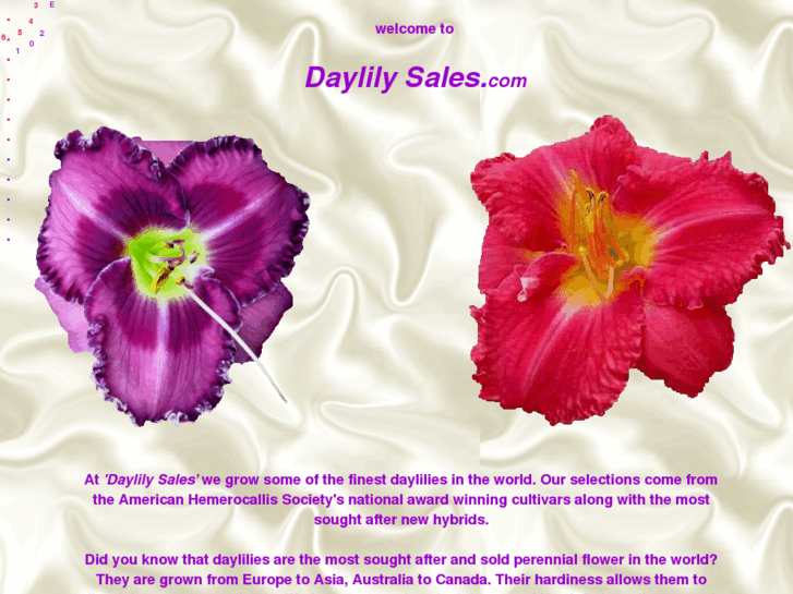 www.daylilysales.com