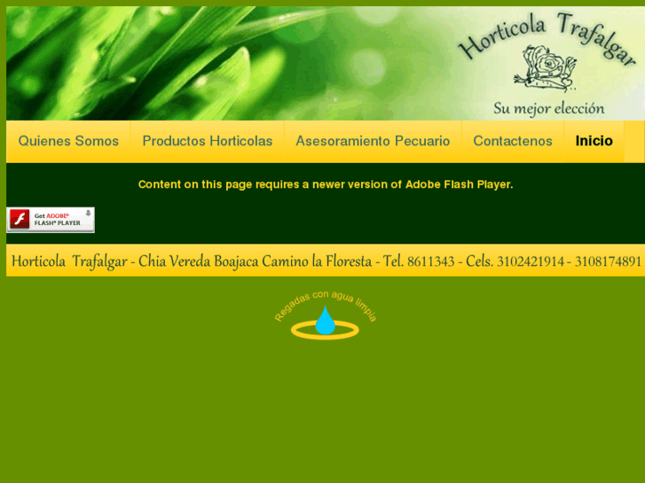 www.horticolatrafalgar.com