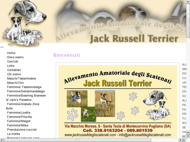 www.jackrusselldegliscatenati.com