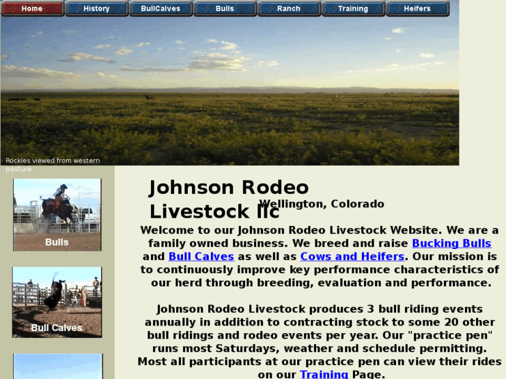 www.johnsonrodeolivestockllc.com