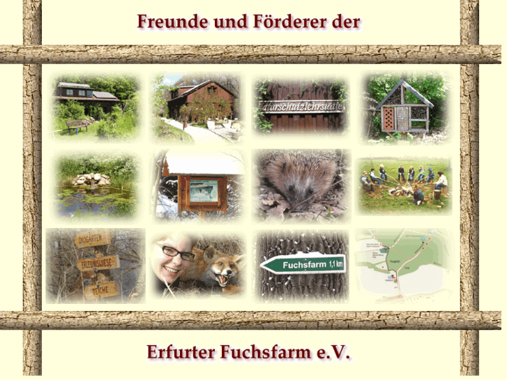 www.lummitsch.net