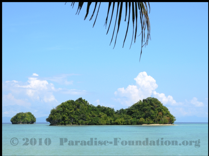 www.paradise-foundation.com