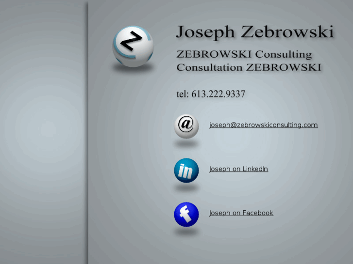 www.zebrowskiconsulting.com