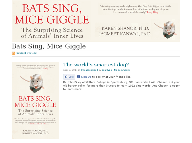 www.batssingmicegiggle.com