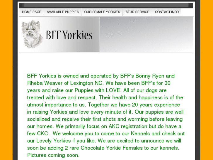 www.bffyorkies.com