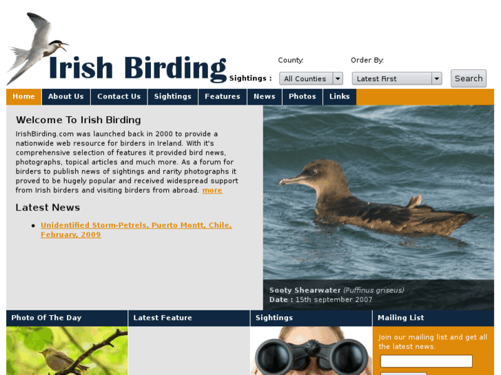 www.irishbirding.com