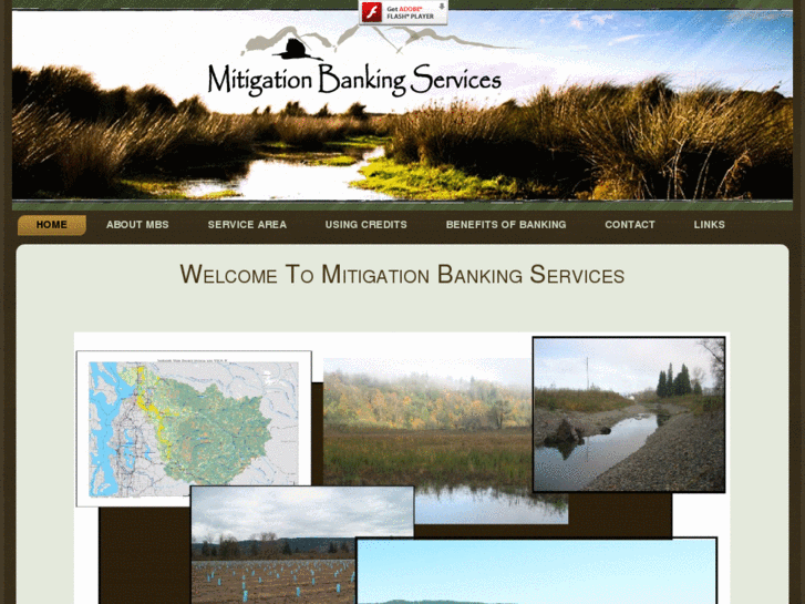 www.mitigationbankingservices.com