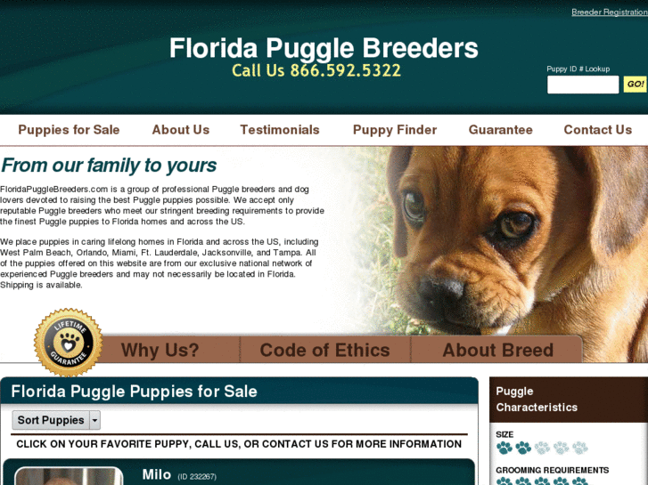 www.floridapugglebreeders.com