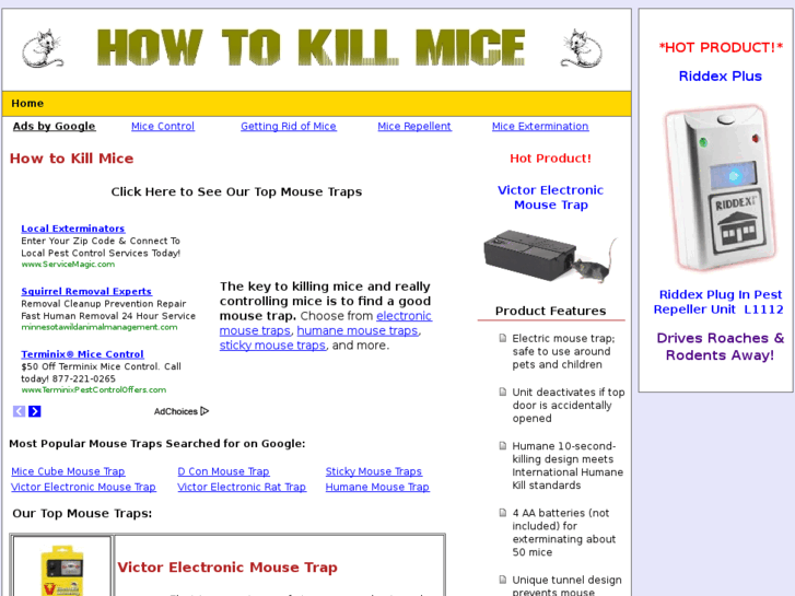 www.how-to-kill-mice.com