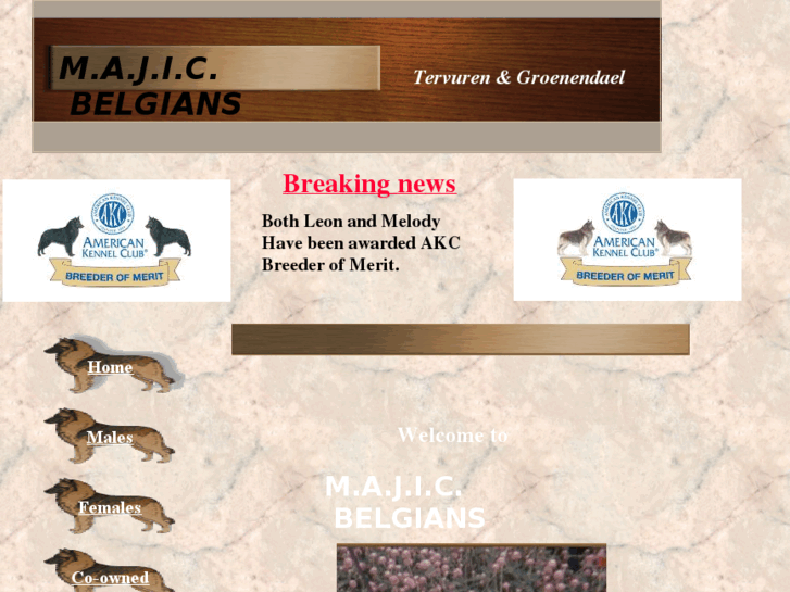 www.majicbelgians.com