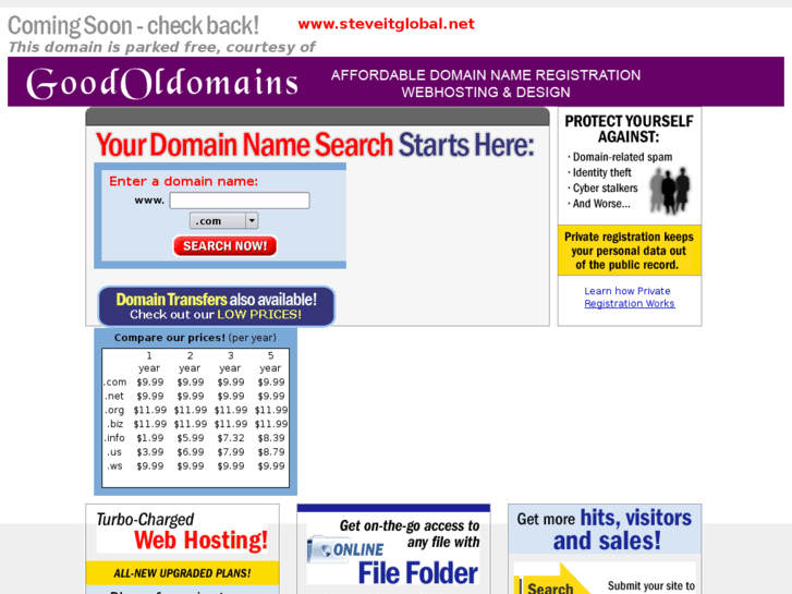 www.steveitglobal.net