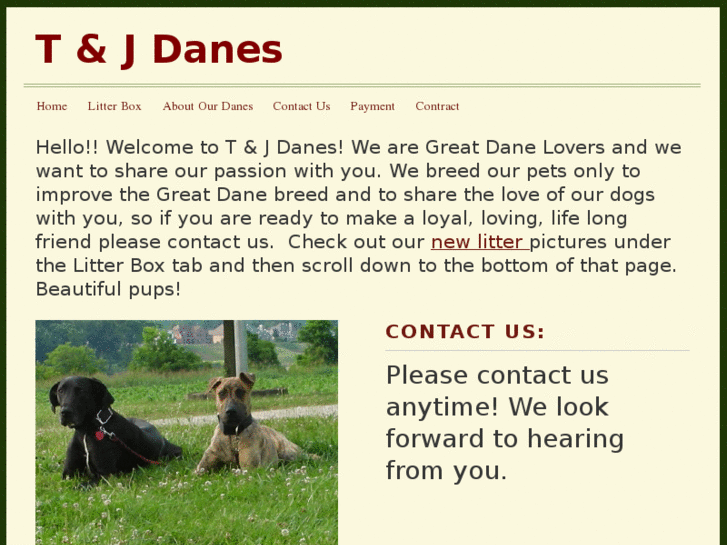 www.tjdanes.com