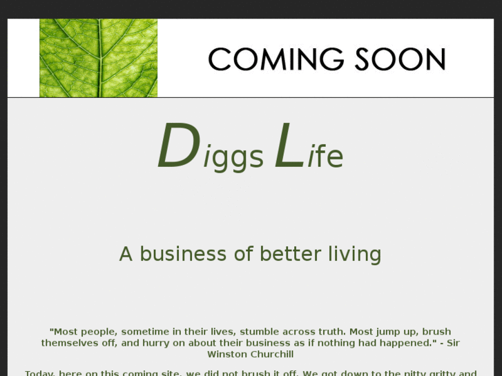 www.diggslife.com