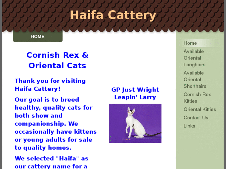 www.haifacats.com